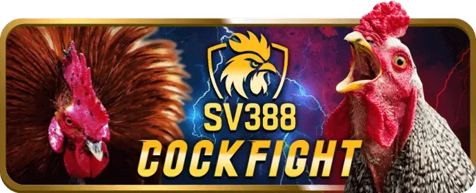 Các phương thức nạp và rút tiền tại suwin apk